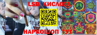 молекула духа Кингисепп