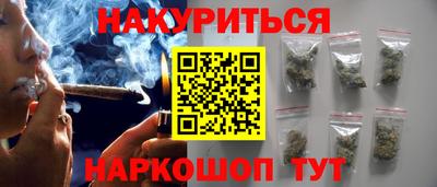 молекула духа Кингисепп