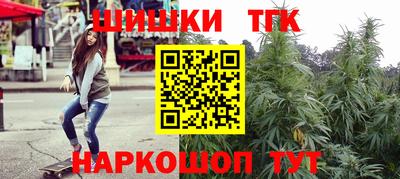 молекула духа Кингисепп