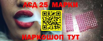 молекула духа Кингисепп