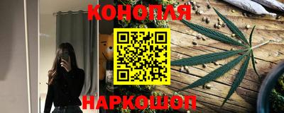 молекула духа Кингисепп
