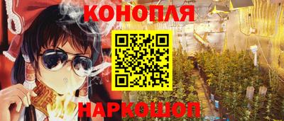 стаф Кимры