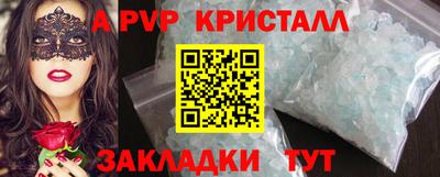 молекула духа Кингисепп