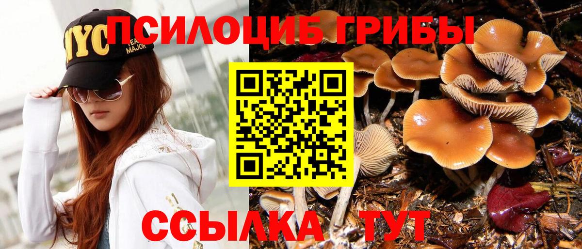 Псилоцибиновые грибы GOLDEN TEACHER Коркино