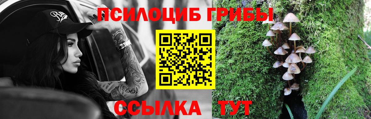 Коркино  Псилоцибиновые грибы Psilocybe  Вход с VPN 